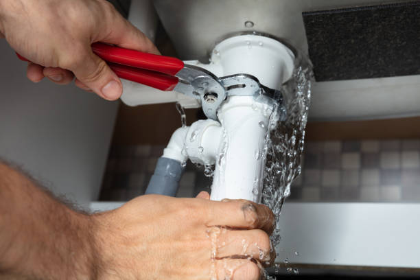 Best Water damage cleanup near me  in Prince George, VA