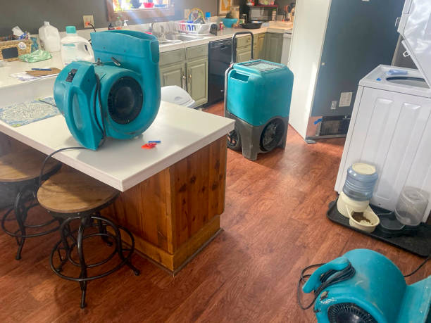 Best Fire Damage Restoration  in Prince George, VA