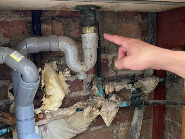 Best Basement water damage restoration  in Prince George, VA